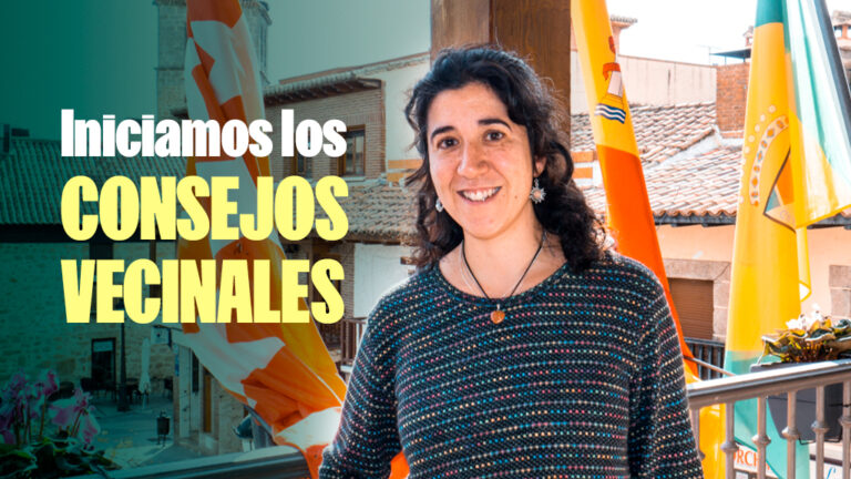 consejos vecinales manzanares el real